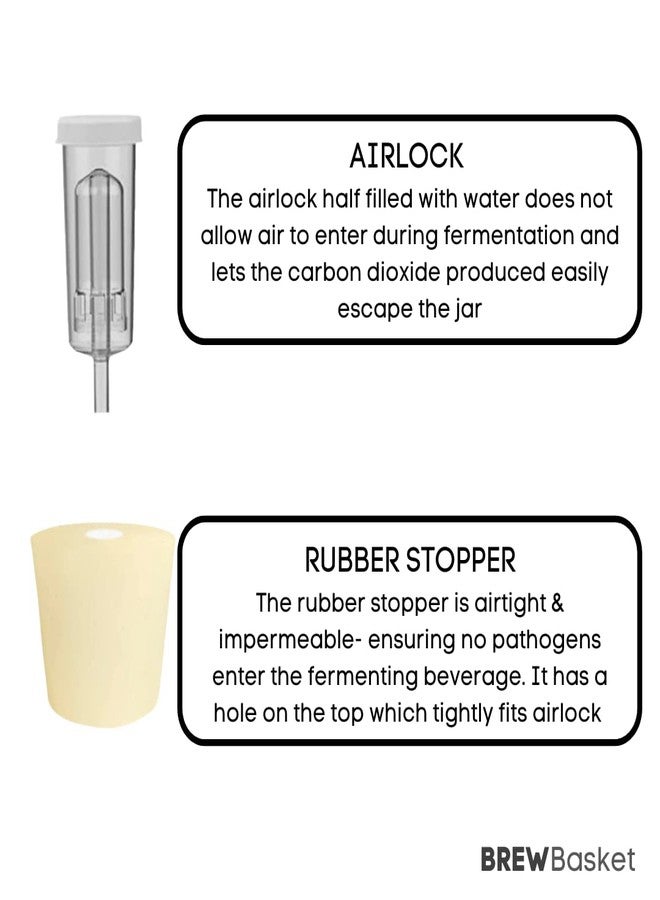 BREWBasket قارورة تخمير سعة 4 لترات من BREWBasket، لوازم صناعة النبيذ، دليل الوصفات | خميرة، مطهر، كامبدن، مُصفّي - Image 4